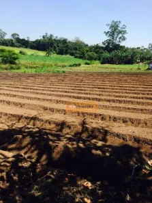 Fazenda / Sítio / Chácara com 8 Quartos para alugar, 450m² no Ipelândia, Suzano