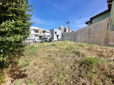 Fazenda / Sítio / Chácara para alugar, 250m² no Nova Ribeirânia, Ribeirão Preto