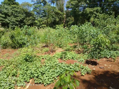 Fazenda / Sítio / Chácara com 1 Quarto à venda, 50m² no Condomínio Horizontal Marajoara, Ibiporã