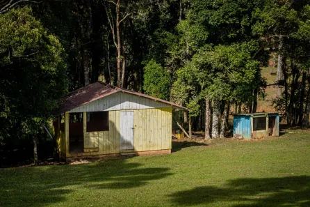 Fazenda / Sítio / Chácara à venda, 72600m² no Centro, São José dos Pinhais