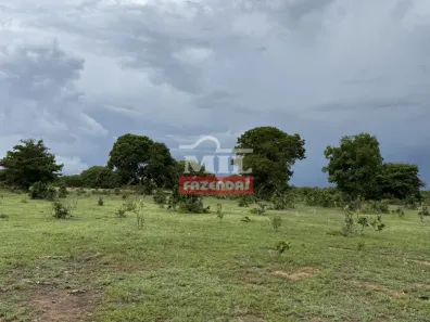 Fazenda / Sítio / Chácara à venda, 500m² no , Formoso do Araguaia