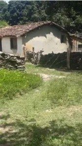 Fazenda / Sítio / Chácara com 3 Quartos à venda, 200m² no , Paranã