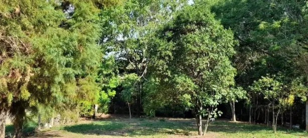 Fazenda / Sítio / Chácara com 2 Quartos à venda, 181m² no Iate Clube de Campinas, Americana