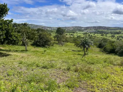 Fazenda / Sítio / Chácara com 2 Quartos à venda, 92000m² no Área Rural de Gravatá, Gravatá