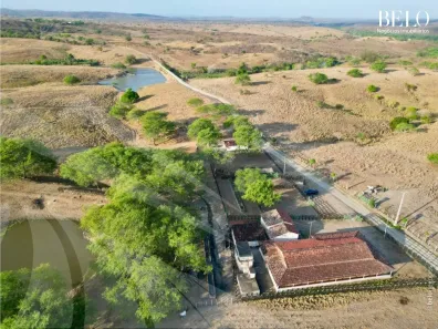 Fazenda / Sítio / Chácara com 4 Quartos à venda, 2950000m² no , Passira