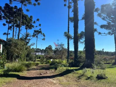 Galpão / Depósito / Armazém à venda, 156963m² no , Campina Grande do Sul
