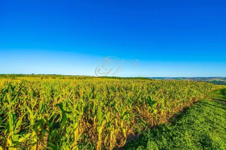 Fazenda / Sítio / Chácara com 1 Quarto à venda, 456017m² no Centro, Ponta Grossa