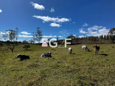 Fazenda / Sítio / Chácara com 3 Quartos à venda, 92000m² no , Pilar do Sul