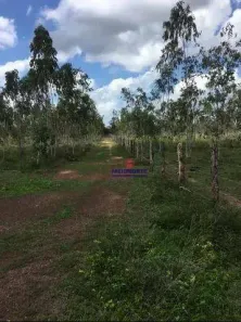 Fazenda / Sítio / Chácara com 1 Quarto à venda, 2260000m² no , Itapecuru Mirim