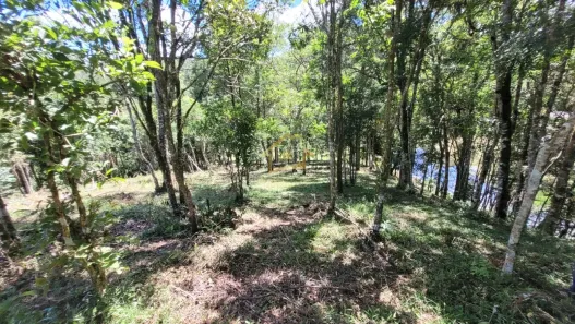 Terreno / Lote / Condomínio à venda, 63000m² no Jardim da Colina, Campina Grande do Sul
