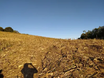Fazenda / Sítio / Chácara à venda, 48400m² no Pacotuba, Almirante Tamandaré