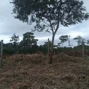 Terreno / Lote / Condomínio à venda, 448m² no Porto da Roça I, Saquarema