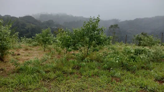 Fazenda / Sítio / Chácara com 4 Quartos à venda, 284m² no Mombaça, Itapecerica da Serra
