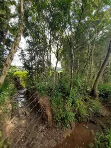 Fazenda / Sítio / Chácara com 1 Quarto à venda, 60000m² no , Contenda