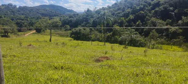 Terreno / Lote / Condomínio à venda, 90000m² no , Cláudio
