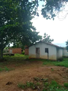 Fazenda / Sítio / Chácara com 4 Quartos à venda, 40000m² no , Feira Nova