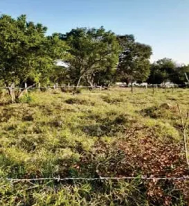 Terreno / Lote / Condomínio à venda, 11364m² no , Sarapuí