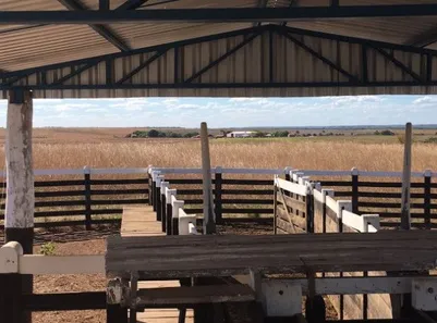 Fazenda / Sítio / Chácara à venda, 45300m² no , Divinópolis do Tocantins