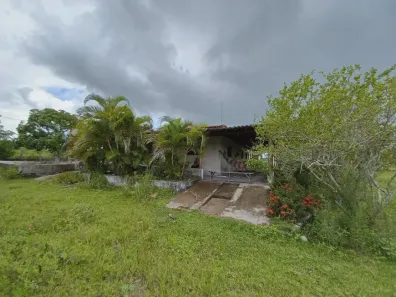 Fazenda / Sítio / Chácara com 3 Quartos à venda, 30000m² no Centro, Taipu