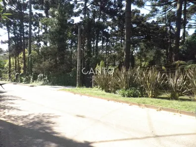 Fazenda / Sítio / Chácara com 3 Quartos à venda, 110m² no Mato Dentro, Almirante Tamandaré