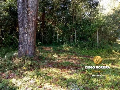 Terreno / Lote / Condomínio à venda, 1242m² no Pirucaia, Mairiporã