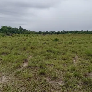 Fazenda / Sítio / Chácara à venda, 200m² no , Ponte Alta do Tocantins