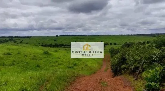 Fazenda / Sítio / Chácara com 8 Quartos à venda, 900m² no , Pedro Afonso