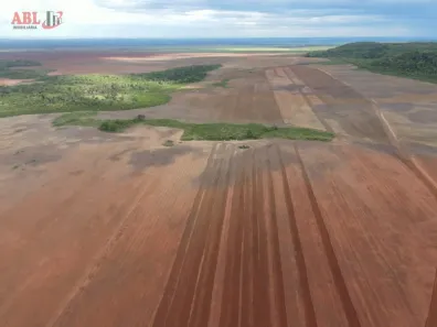 Fazenda / Sítio / Chácara à venda, 100190000m² no , Pedro Afonso