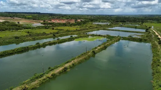 Fazenda / Sítio / Chácara com 2 Quartos à venda, 326000m² no , Pilar
