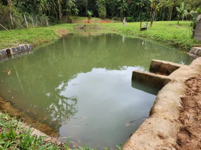 Fazenda / Sítio / Chácara com 2 Quartos à venda, 20459m² no , Antonina