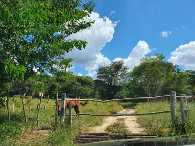 Terreno / Lote / Condomínio à venda, 20000m² no Zona Rural, Fortuna de Minas