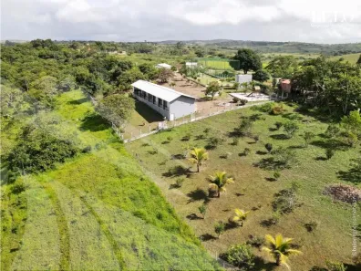 Fazenda / Sítio / Chácara com 4 Quartos à venda, 182m² no , Sairé