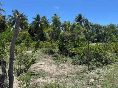 Casa com 1 Quarto à venda, 50m² no , Pirambu