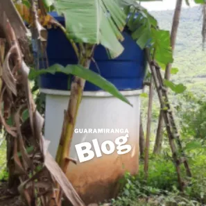 Fazenda / Sítio / Chácara à venda, 50m² no , Pacoti