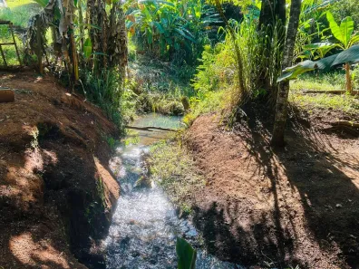 Fazenda / Sítio / Chácara com 3 Quartos à venda, 1900m² no , São Joaquim de Bicas