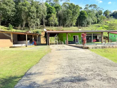 Fazenda / Sítio / Chácara com 3 Quartos à venda, 20000m² no Palmitalzinho, Quatro Barras