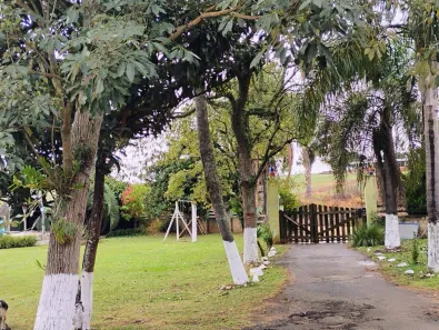 Fazenda / Sítio / Chácara à venda, 13000m² no Guaragi, Ponta Grossa