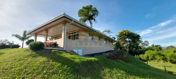 Fazenda / Sítio / Chácara com 3 Quartos à venda, 117m² no , Antonina