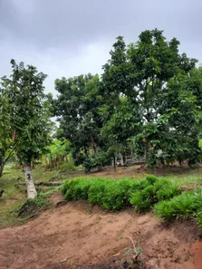 Fazenda / Sítio / Chácara à venda, 9400m² no , Pedras de Fogo