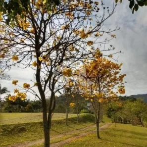 Casa com 3 Quartos à venda, 240m² no Vargem Grande, Águas Mornas