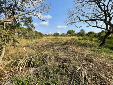 Fazenda / Sítio / Chácara com 4 Quartos para alugar, 373m² no Chácaras Rurais Guararema, Jacareí