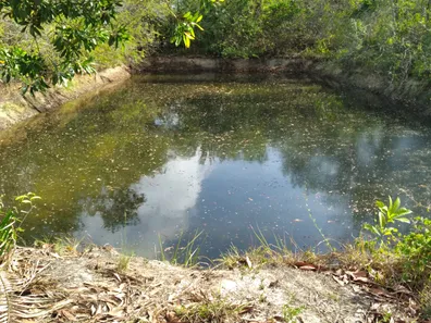 Fazenda / Sítio / Chácara com 3 Quartos à venda, 200m² no Centro, Itapecuru Mirim