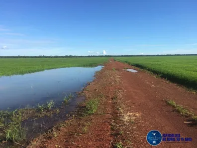 Terreno / Lote / Condomínio à venda, 1500m² no Setor Central, Lagoa da Confusão