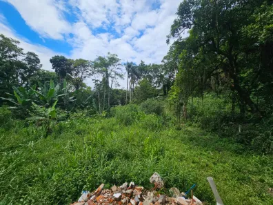 Terreno / Lote / Condomínio à venda, 900m² no Antonina, Antonina