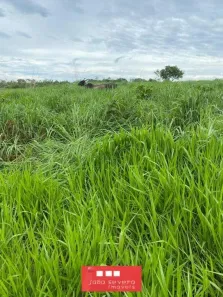 Fazenda / Sítio / Chácara à venda, 1064800m² no Plano Diretor Sul, Palmas