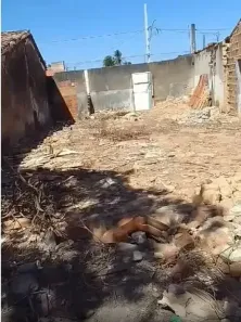 Imagem do imóvel
