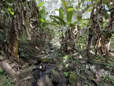Fazenda / Sítio / Chácara com 6 Quartos à venda, 30000m² no , Pacoti