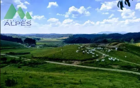 Fazenda / Sítio / Chácara com 7 Quartos à venda, 300m² no Campo Largo da Roseira, São José dos Pinhais