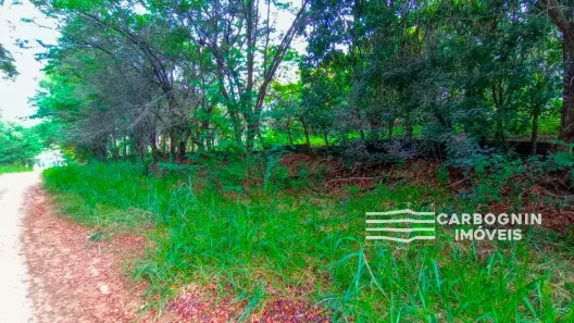 Fazenda / Sítio / Chácara com 1 Quarto à venda, 3000m² no Caçapava Velha, Caçapava