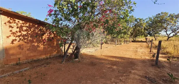 Fazenda / Sítio / Chácara com 3 Quartos à venda, 242000m² no , Padre Bernardo